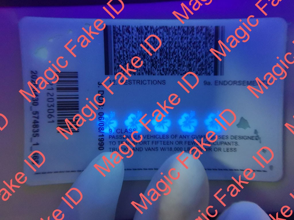Hawaii Driver License - Image 2