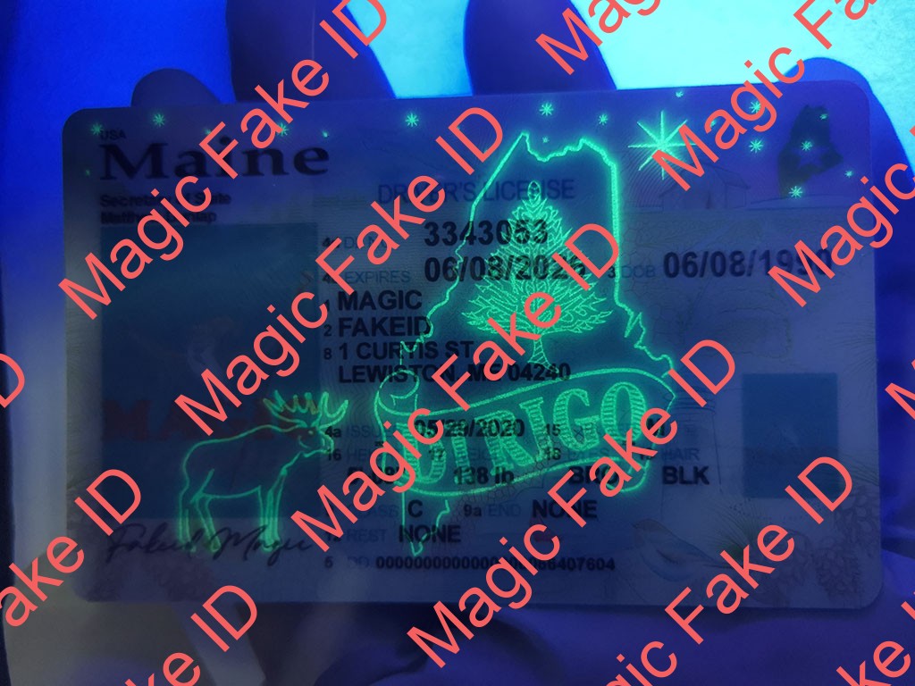 New Maine Driver License - Image 2