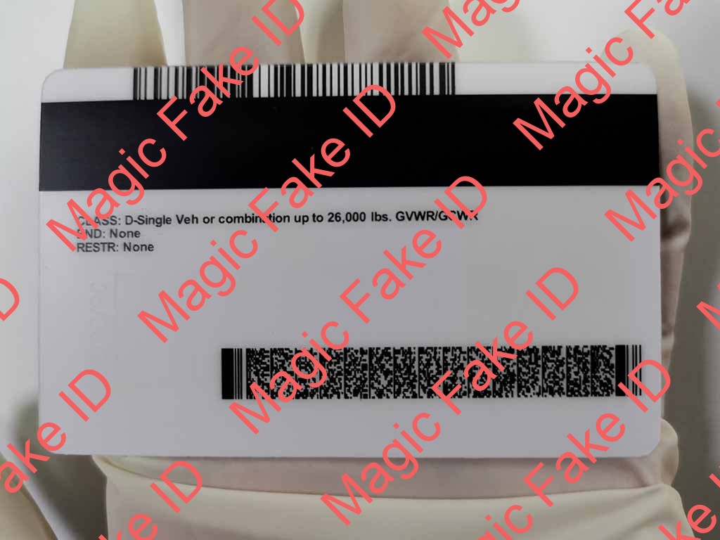 New Minnesota Driver License - Image 4