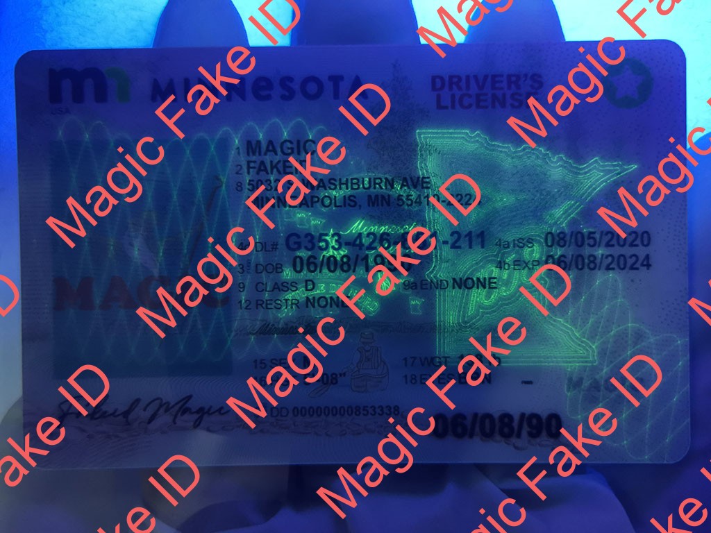 New Minnesota Driver License - Image 3