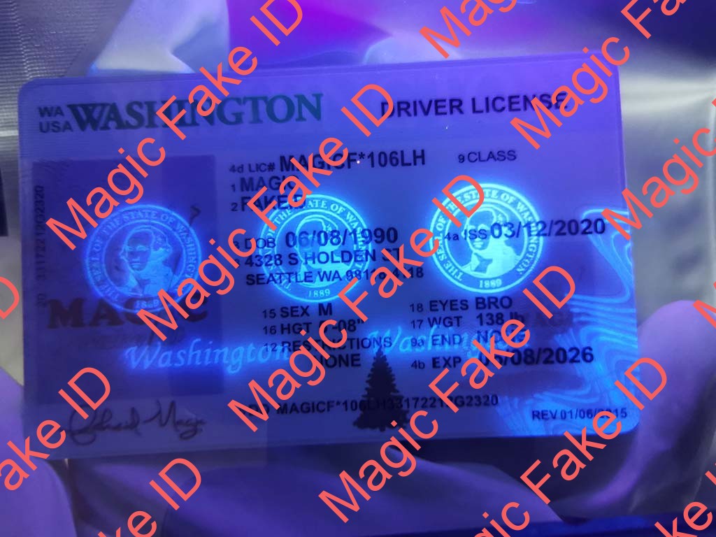New Washington Driver License - Image 3