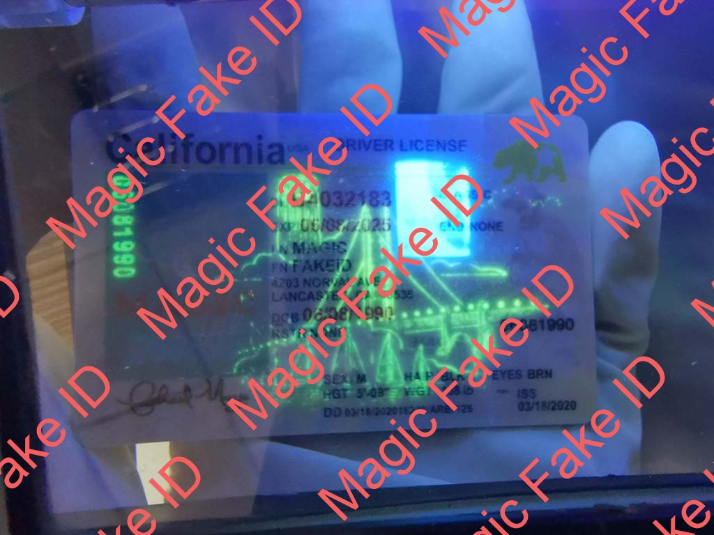 New California Driver License - Image 2