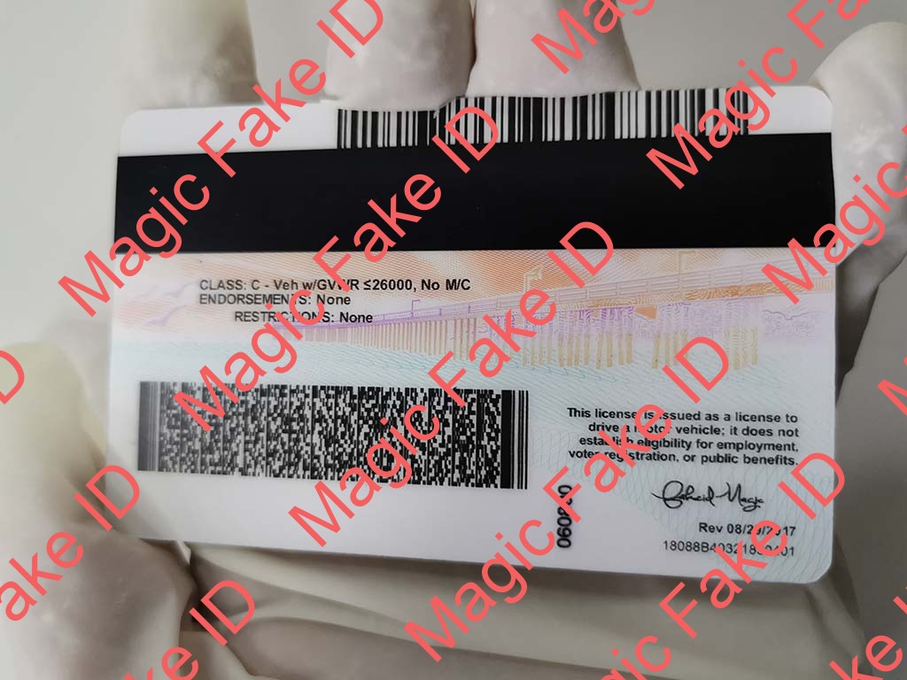 New California Driver License - Image 3